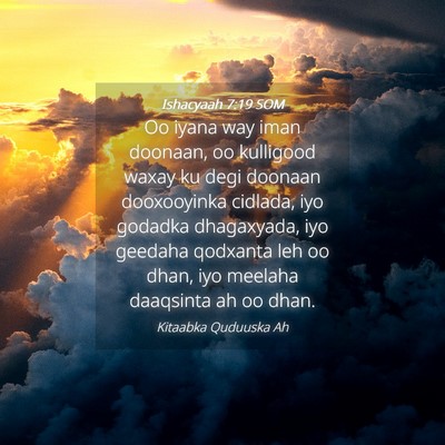 Picture 04 - Ishacyaah 7:19 SOM - Oo iyana way iman doonaan, oo kulligood waxay ku - Bible Verse Picture