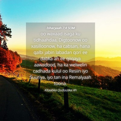 Picture 04 - Ishacyaah 7:4 SOM - oo waxaad isaga ku tidhaahdaa, Digtoonow oo - Bible Verse Picture