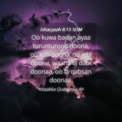 Picture 04 - Ishacyaah 8:15 SOM - Oo kuwa badan ayaa turunturoon doona, oo kufi - Bible Verse Picture