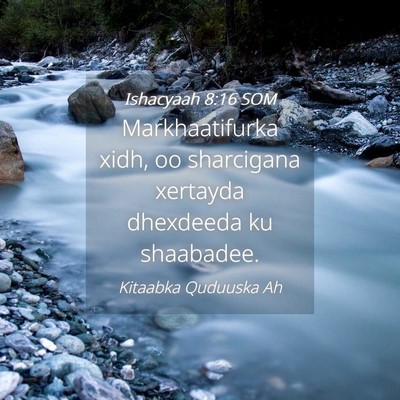 Picture 04 - Ishacyaah 8:16 SOM - Markhaatifurka xidh, oo sharcigana xertayda - Bible Verse Picture
