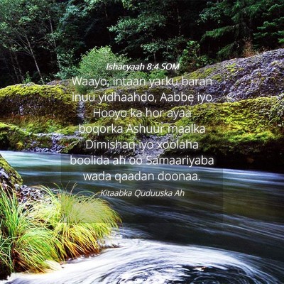 Picture 04 - Ishacyaah 8:4 SOM - Waayo, intaan yarku baran inuu yidhaahdo, Aabbe - Bible Verse Picture