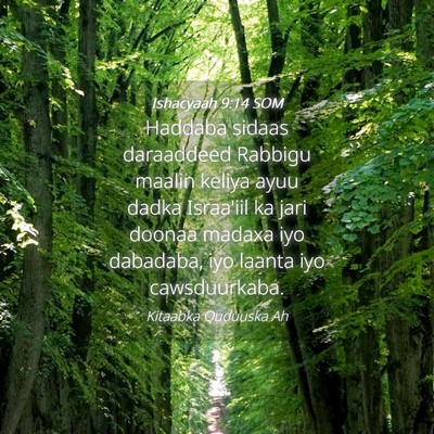 Picture 04 - Ishacyaah 9:14 SOM - Haddaba sidaas daraaddeed Rabbigu maalin keliya - Bible Verse Picture