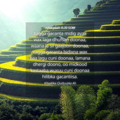 Picture 04 - Ishacyaah 9:20 SOM - Xagga gacanta midig ayaa wax laga dhufsan doonaa, - Bible Verse Picture