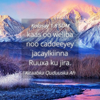 Picture 04 - Kolosay 1:8 SOM - kaas oo weliba noo caddeeyey jacaylkiinna Ruuxa - Bible Verse Picture