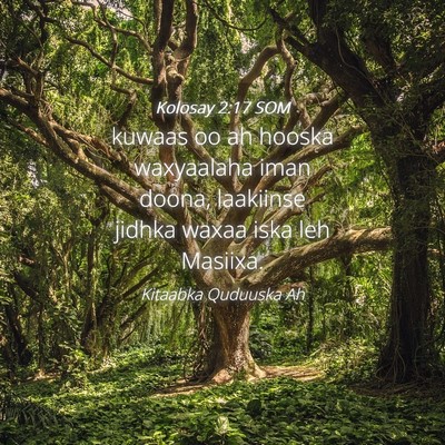 Picture 04 - Kolosay 2:17 SOM - kuwaas oo ah hooska waxyaalaha iman doona, - Bible Verse Picture