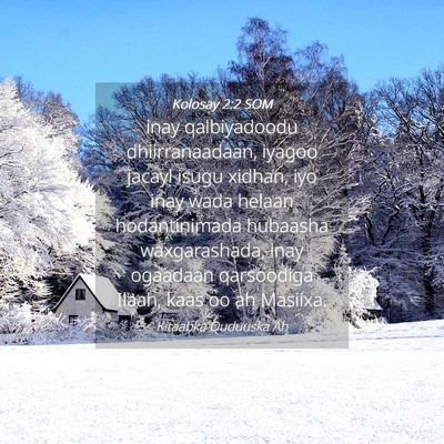 Picture 04 - Kolosay 2:2 SOM - inay qalbiyadoodu dhiirranaadaan, iyagoo jacayl - Bible Verse Picture