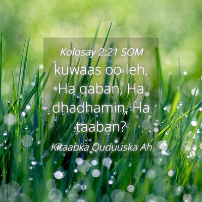 Picture 04 - Kolosay 2:21 SOM - kuwaas oo leh, Ha qaban, Ha dhadhamin, Ha - Bible Verse Picture