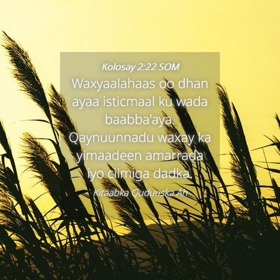Picture 04 - Kolosay 2:22 SOM - Waxyaalahaas oo dhan ayaa isticmaal ku wada - Bible Verse Picture