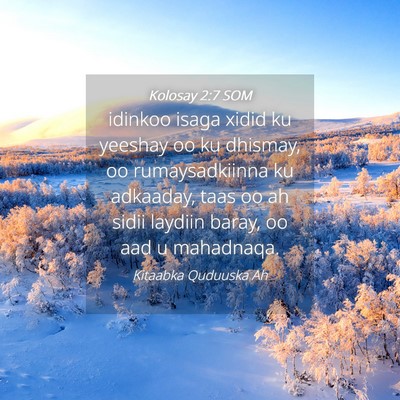 Picture 04 - Kolosay 2:7 SOM - idinkoo isaga xidid ku yeeshay oo ku dhismay, oo - Bible Verse Picture
