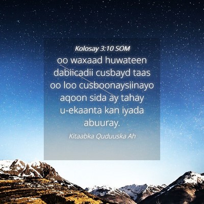 Picture 04 - Kolosay 3:10 SOM - oo waxaad huwateen dabiicadii cusbayd taas oo loo - Bible Verse Picture