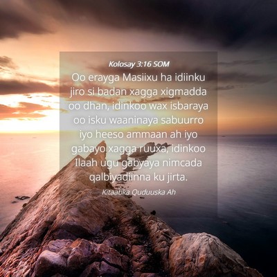 Picture 04 - Kolosay 3:16 SOM - Oo erayga Masiixu ha idiinku jiro si badan xagga - Bible Verse Picture