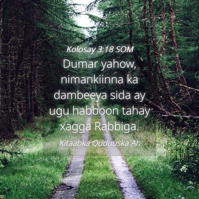 Picture 04 - Kolosay 3:18 SOM - Dumar yahow, nimankiinna ka dambeeya sida ay ugu - Bible Verse Picture