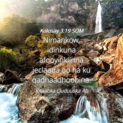 Picture 04 - Kolosay 3:19 SOM - Nimankow, idinkuna afooyinkiinna jeclaada oo ha - Bible Verse Picture