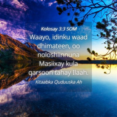 Picture 04 - Kolosay 3:3 SOM - Waayo, idinku waad dhimateen, oo noloshiinnuna - Bible Verse Picture