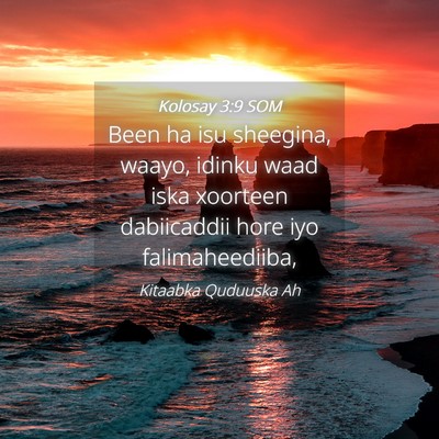 Picture 04 - Kolosay 3:9 SOM - Been ha isu sheegina, waayo, idinku waad iska - Bible Verse Picture