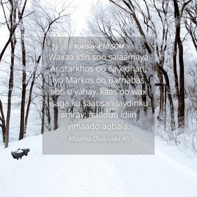 Picture 04 - Kolosay 4:10 SOM - Waxaa idin soo salaamaya Aristarkhos oo ila - Bible Verse Picture