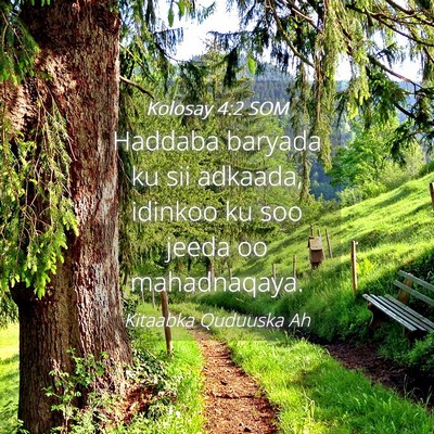 Picture 04 - Kolosay 4:2 SOM - Haddaba baryada ku sii adkaada, idinkoo ku soo - Bible Verse Picture