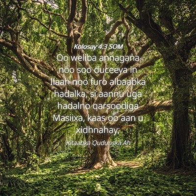 Picture 04 - Kolosay 4:3 SOM - Oo weliba annagana noo soo duceeya in Ilaah noo - Bible Verse Picture