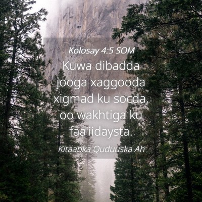 Picture 04 - Kolosay 4:5 SOM - Kuwa dibadda jooga xaggooda xigmad ku socda, oo - Bible Verse Picture