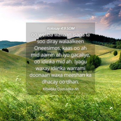 Picture 04 - Kolosay 4:9 SOM - oo weliba waxaan isaga la soo diray walaalkeen - Bible Verse Picture