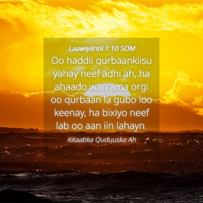 Picture 04 - Laawiyiintii 1:10 SOM - Oo haddii qurbaankiisu yahay neef adhi ah, ha - Bible Verse Picture