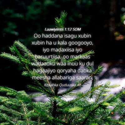 Picture 04 - Laawiyiintii 1:12 SOM - Oo haddana isagu xubin xubin ha u kala googooyo, - Bible Verse Picture