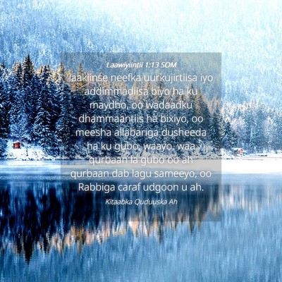 Picture 04 - Laawiyiintii 1:13 SOM - laakiinse neefka uurkujirtiisa iyo addimmadiisa - Bible Verse Picture