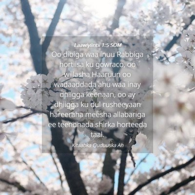 Picture 04 - Laawiyiintii 1:5 SOM - Oo dibiga waa inuu Rabbiga hortiisa ku gowraco, - Bible Verse Picture