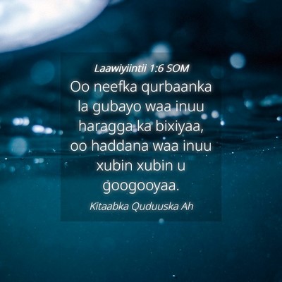 Picture 04 - Laawiyiintii 1:6 SOM - Oo neefka qurbaanka la gubayo waa inuu haragga ka - Bible Verse Picture
