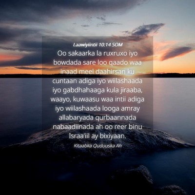 Picture 04 - Laawiyiintii 10:14 SOM - Oo sakaarka la ruxruxo iyo bowdada sare loo qaado - Bible Verse Picture