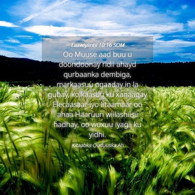 Picture 04 - Laawiyiintii 10:16 SOM - Oo Muuse aad buu u doondoonay ridii ahayd - Bible Verse Picture