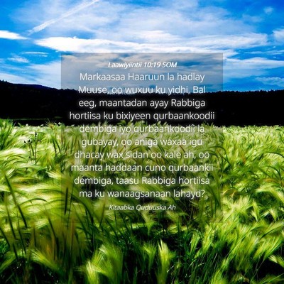 Picture 04 - Laawiyiintii 10:19 SOM - Markaasaa Haaruun la hadlay Muuse, oo wuxuu ku - Bible Verse Picture
