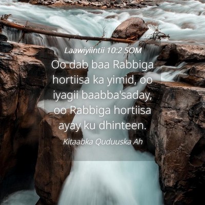Picture 04 - Laawiyiintii 10:2 SOM - Oo dab baa Rabbiga hortiisa ka yimid, oo iyagii - Bible Verse Picture