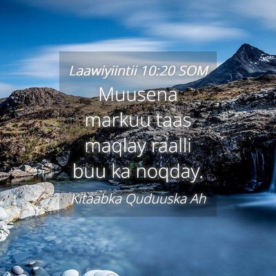 Picture 04 - Laawiyiintii 10:20 SOM - Muusena markuu taas maqlay raalli buu ka - Bible Verse Picture