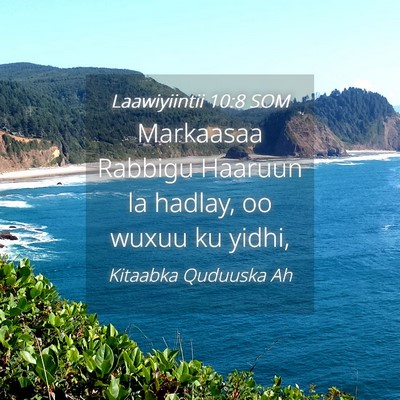 Picture 04 - Laawiyiintii 10:8 SOM - Markaasaa Rabbigu Haaruun la hadlay, oo wuxuu ku - Bible Verse Picture