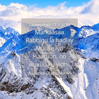 Picture 04 - Laawiyiintii 11:1 SOM - Markaasaa Rabbigu la hadlay Muuse iyo Haaruun, oo - Bible Verse Picture