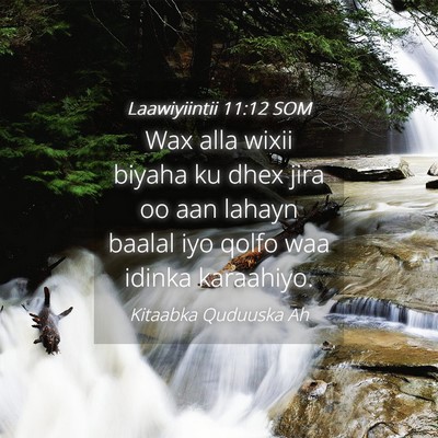 Picture 04 - Laawiyiintii 11:12 SOM - Wax alla wixii biyaha ku dhex jira oo aan lahayn - Bible Verse Picture