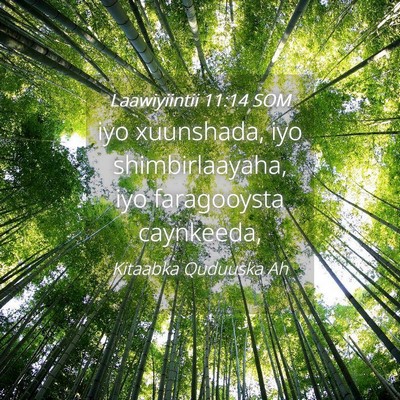 Picture 04 - Laawiyiintii 11:14 SOM - iyo xuunshada, iyo shimbirlaayaha, iyo - Bible Verse Picture