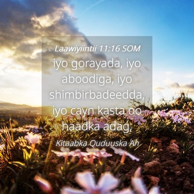 Picture 04 - Laawiyiintii 11:16 SOM - iyo gorayada, iyo aboodiga, iyo shimbirbadeedda, - Bible Verse Picture