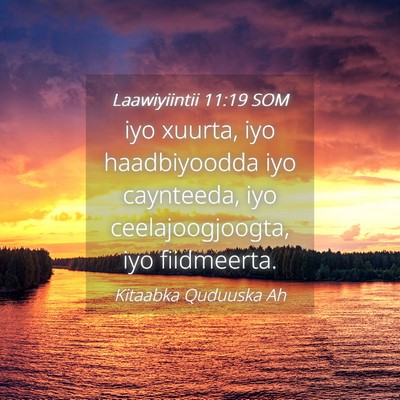 Picture 04 - Laawiyiintii 11:19 SOM - iyo xuurta, iyo haadbiyoodda iyo caynteeda, iyo - Bible Verse Picture