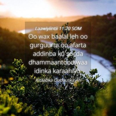 Picture 04 - Laawiyiintii 11:20 SOM - Oo wax baalal leh oo gurguurta oo afarta addinba - Bible Verse Picture
