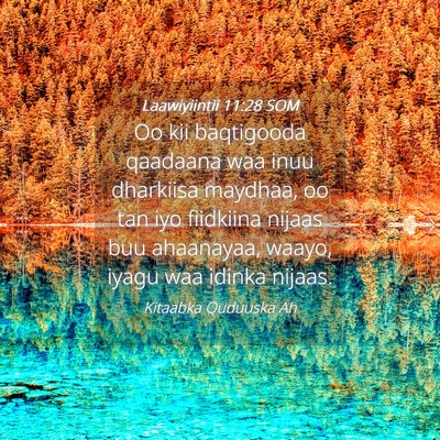 Picture 04 - Laawiyiintii 11:28 SOM - Oo kii baqtigooda qaadaana waa inuu dharkiisa - Bible Verse Picture