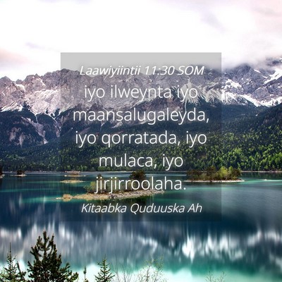 Picture 04 - Laawiyiintii 11:30 SOM - iyo ilweynta iyo maansalugaleyda, iyo qorratada, - Bible Verse Picture