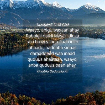 Picture 04 - Laawiyiintii 11:45 SOM - Waayo, anigu waxaan ahay Rabbigii dalkii Masar - Bible Verse Picture