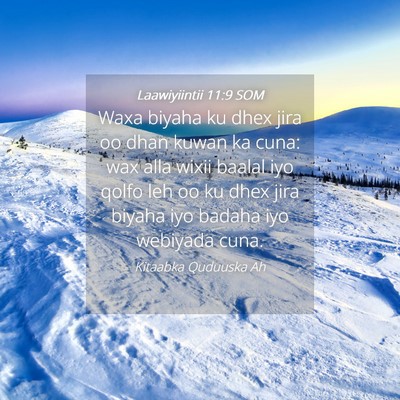 Picture 04 - Laawiyiintii 11:9 SOM - Waxa biyaha ku dhex jira oo dhan kuwan ka cuna: - Bible Verse Picture