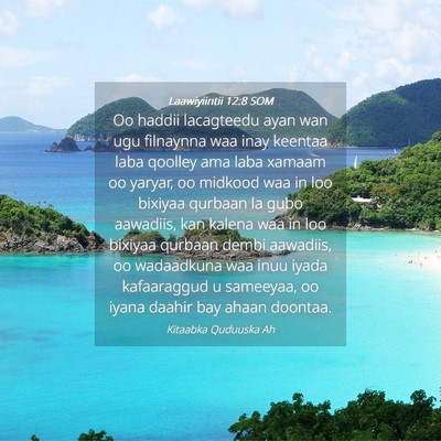 Picture 04 - Laawiyiintii 12:8 SOM - Oo haddii lacagteedu ayan wan ugu filnaynna waa - Bible Verse Picture