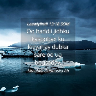 Picture 04 - Laawiyiintii 13:18 SOM - Oo haddii jidhku kasoobax ku leeyahay dubka sare - Bible Verse Picture