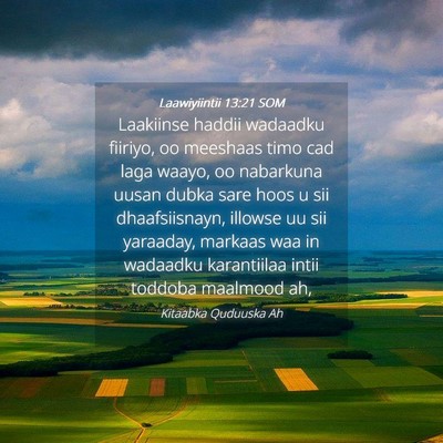 Picture 04 - Laawiyiintii 13:21 SOM - Laakiinse haddii wadaadku fiiriyo, oo meeshaas - Bible Verse Picture