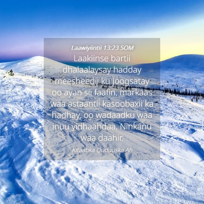 Picture 04 - Laawiyiintii 13:23 SOM - Laakiinse bartii dhalaalaysay hadday meesheedii - Bible Verse Picture