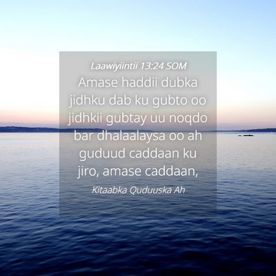 Picture 04 - Laawiyiintii 13:24 SOM - Amase haddii dubka jidhku dab ku gubto oo jidhkii - Bible Verse Picture